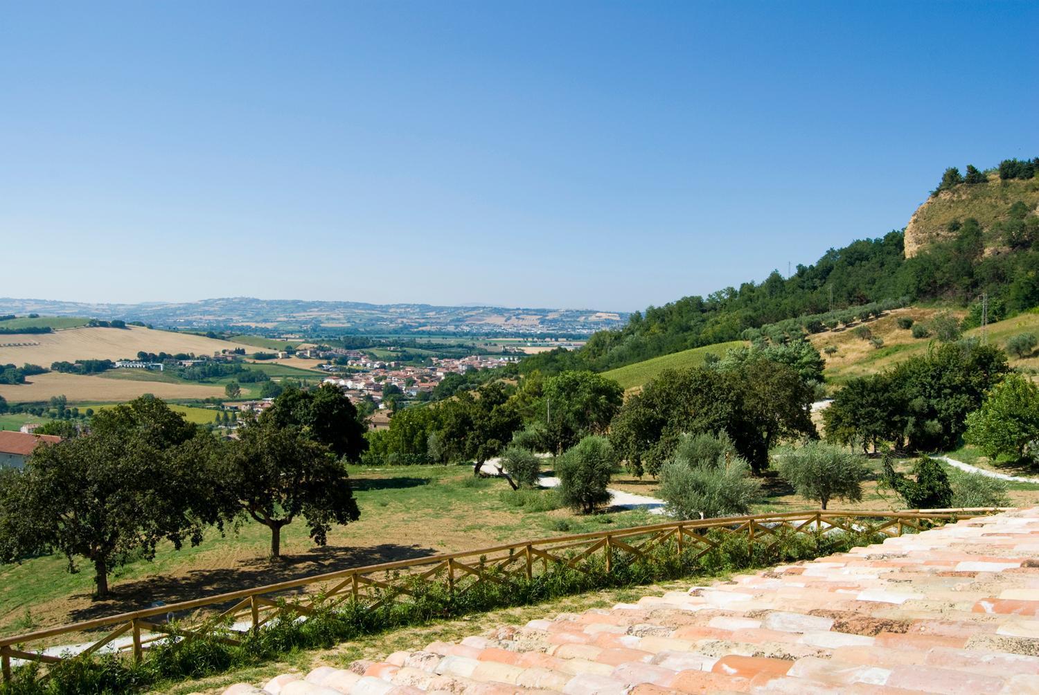 Agriturismo Il Falco Сант'Ельпідіо-а-Маре Екстер'єр фото